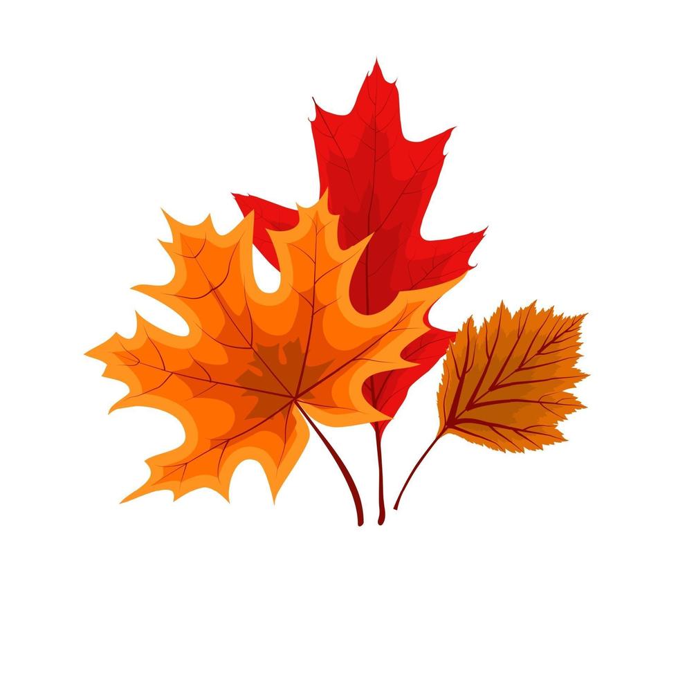 autumn falling leaves icon free vector