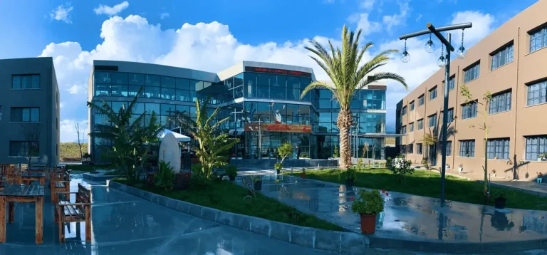 International University of Alasia