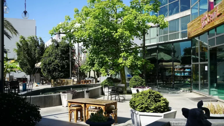 International University of Alasia